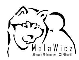 MalaWicz - Malamute do Alaska